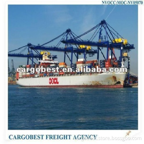 Sea forwarders service from SHANGHAI to saudi arabia: RIYADH